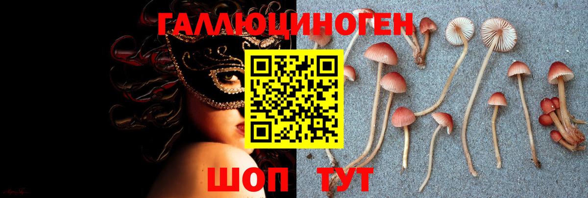 Галлюциногенные грибы Psilocybine cubensis Щёлково